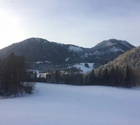 Bauernhof Maiergschwendter-hof Ruhpolding