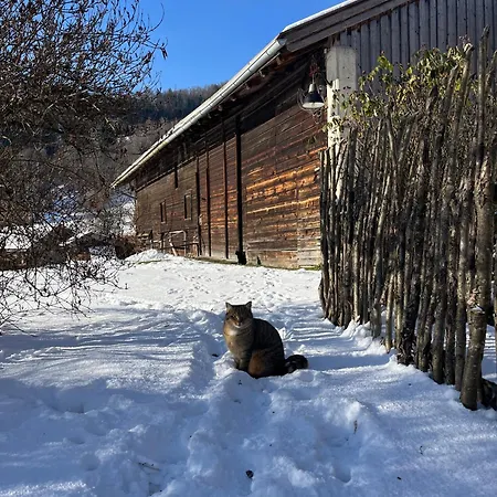 Séjour à la ferme Maiergschwendter-hof Inkl. Chiemgaukarte Ruhpolding
