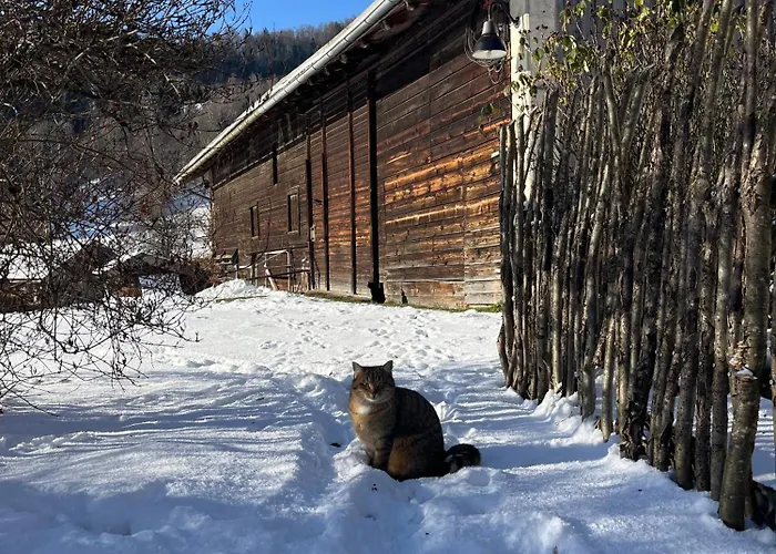 Vakantieboerderij Maiergschwendter-hof Inkl. Chiemgaukarte Ruhpolding